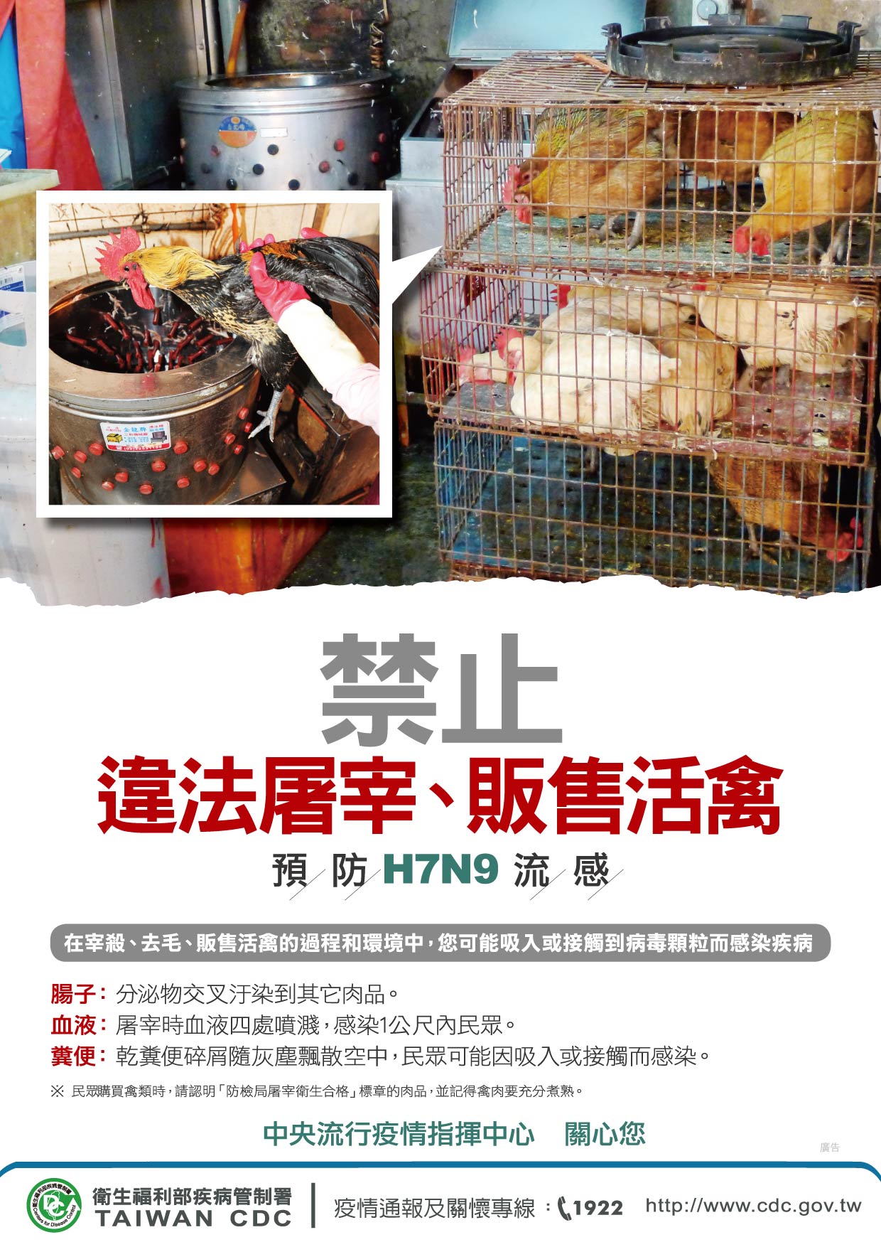 疾病管制署宣導海報 疾病管制署宣導海報 禁止違法屠宰、販售活禽